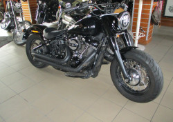 Harley Slim